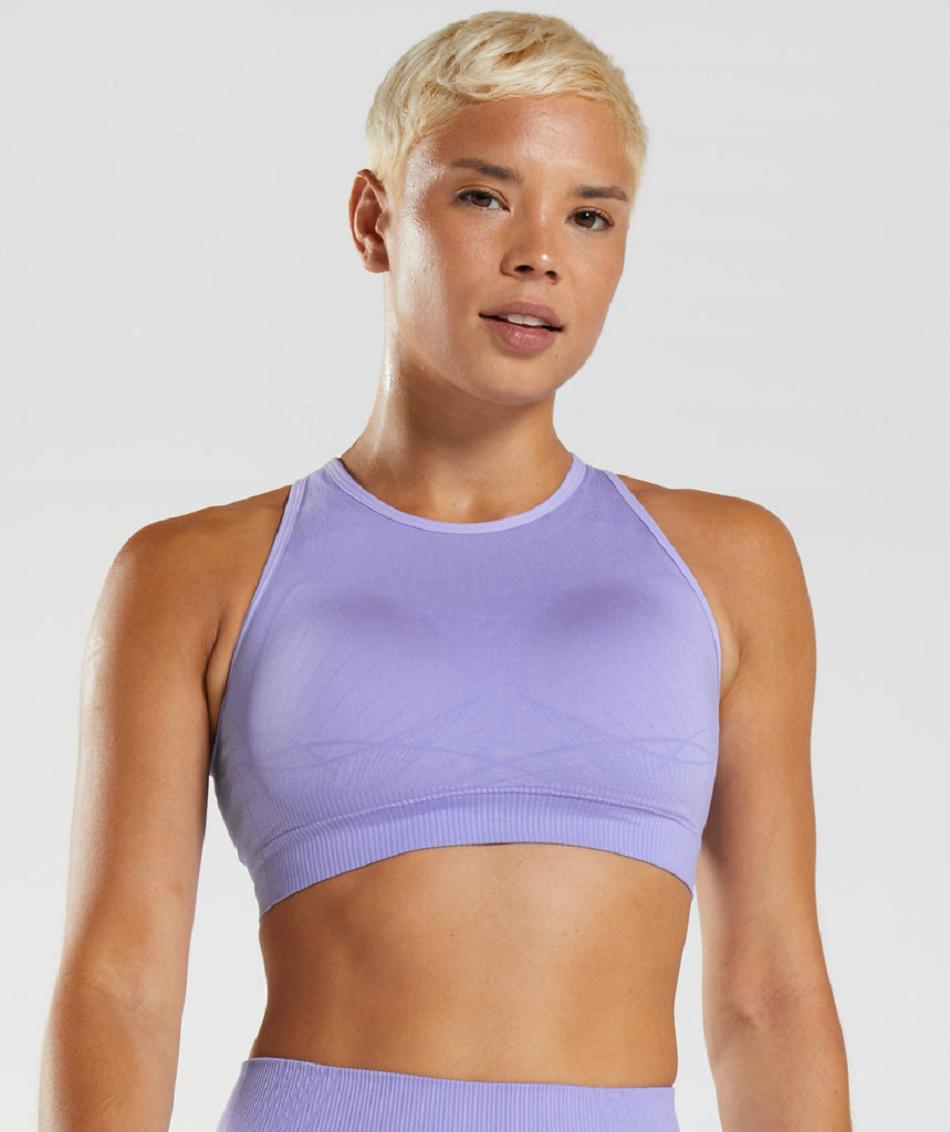 Sujetadores Deportivos Gymshark Apex Seamless Mujer Moradas Moradas | CO 2158BEX